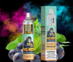 RandM 龍捲風7000拋棄式