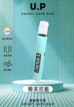 DIYA U.P 一代電子煙主機｜經典款霧化設備・穩定輸出：圖片 6